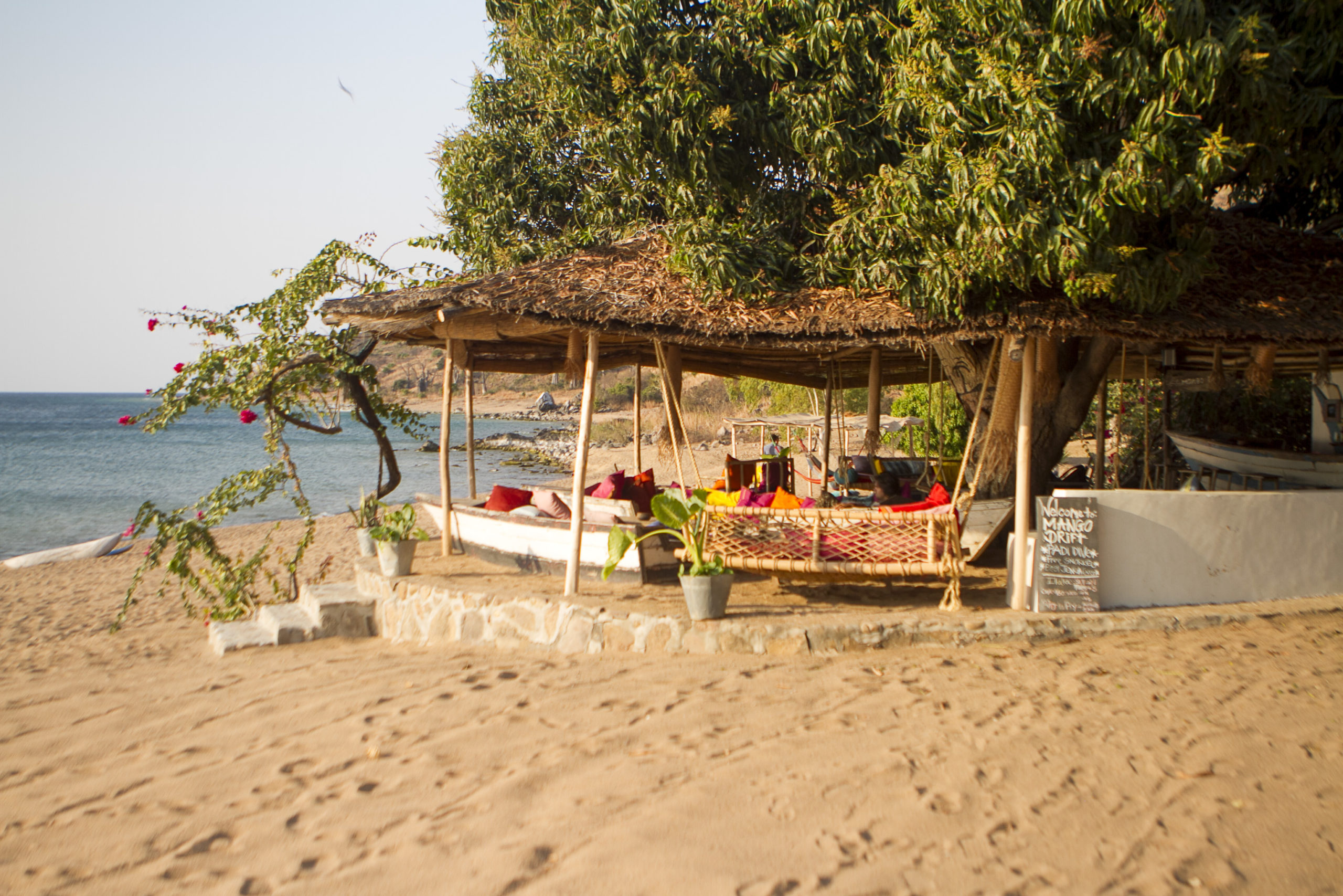 Mango Drift thumbnail 5