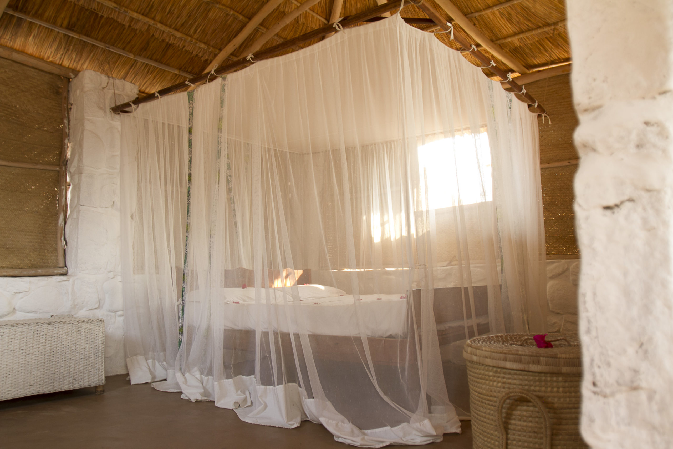 Mango Drift thumbnail 6