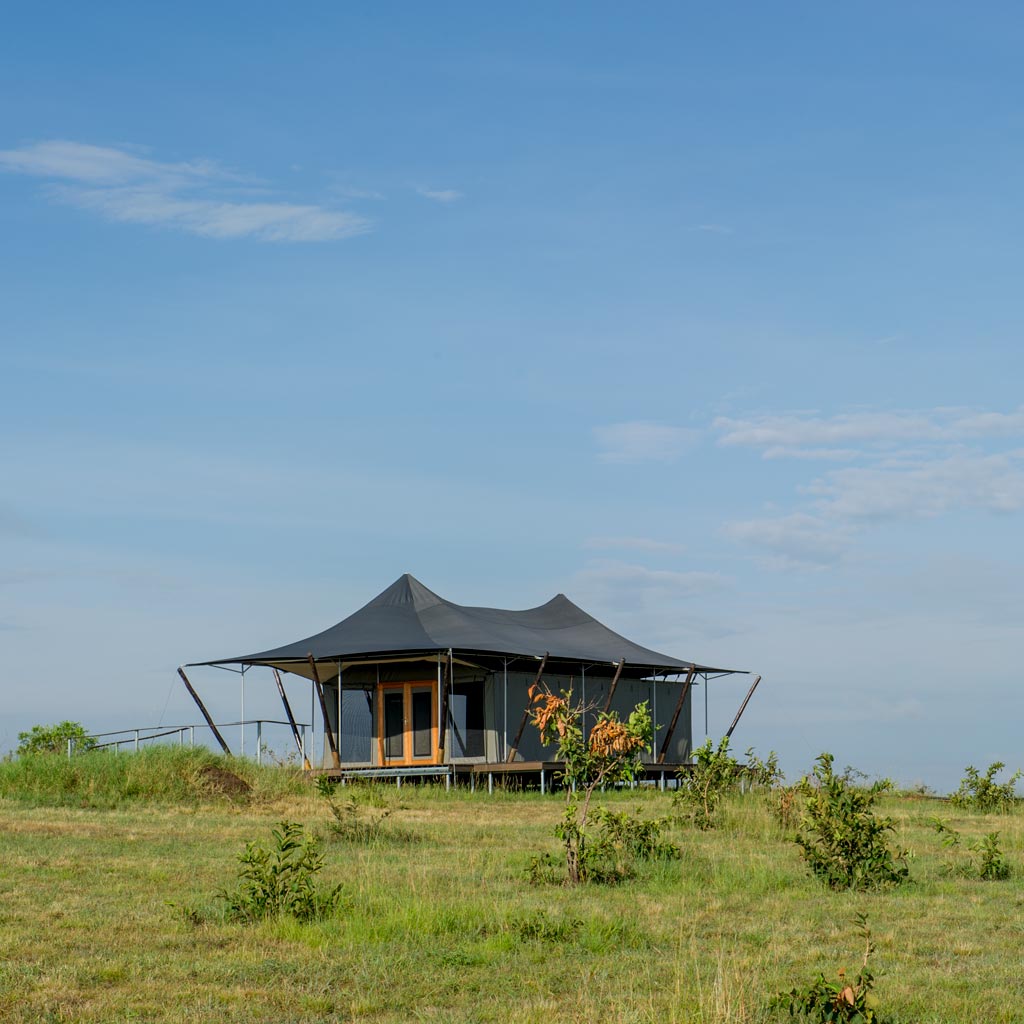Mara Mara Tented Lodge thumbnail 6