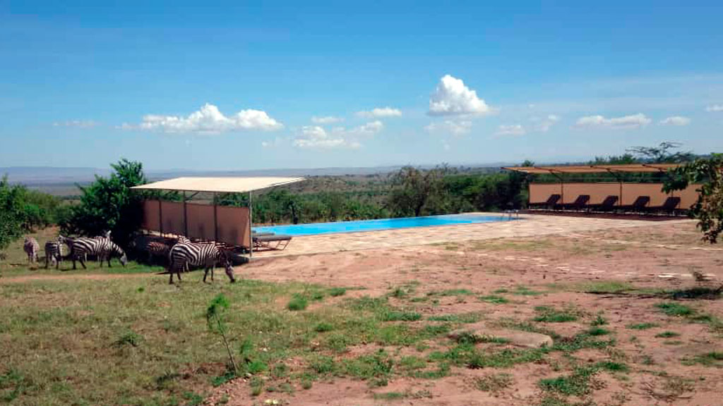 Mara Mara Tented Lodge thumbnail 3