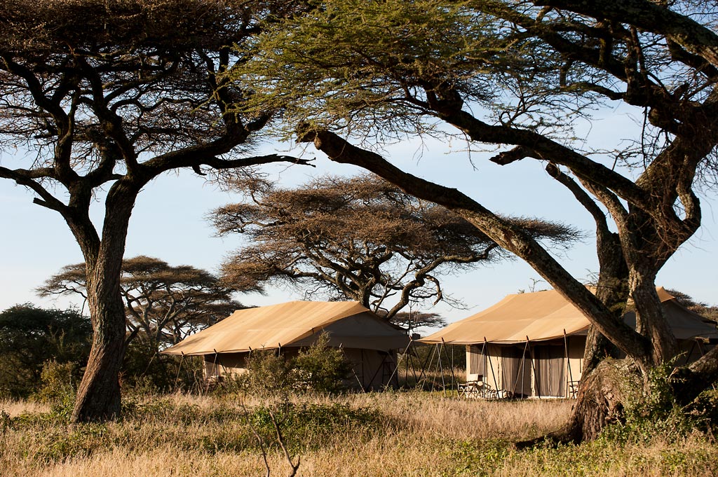 Ndutu Under Canvas thumbnail 3