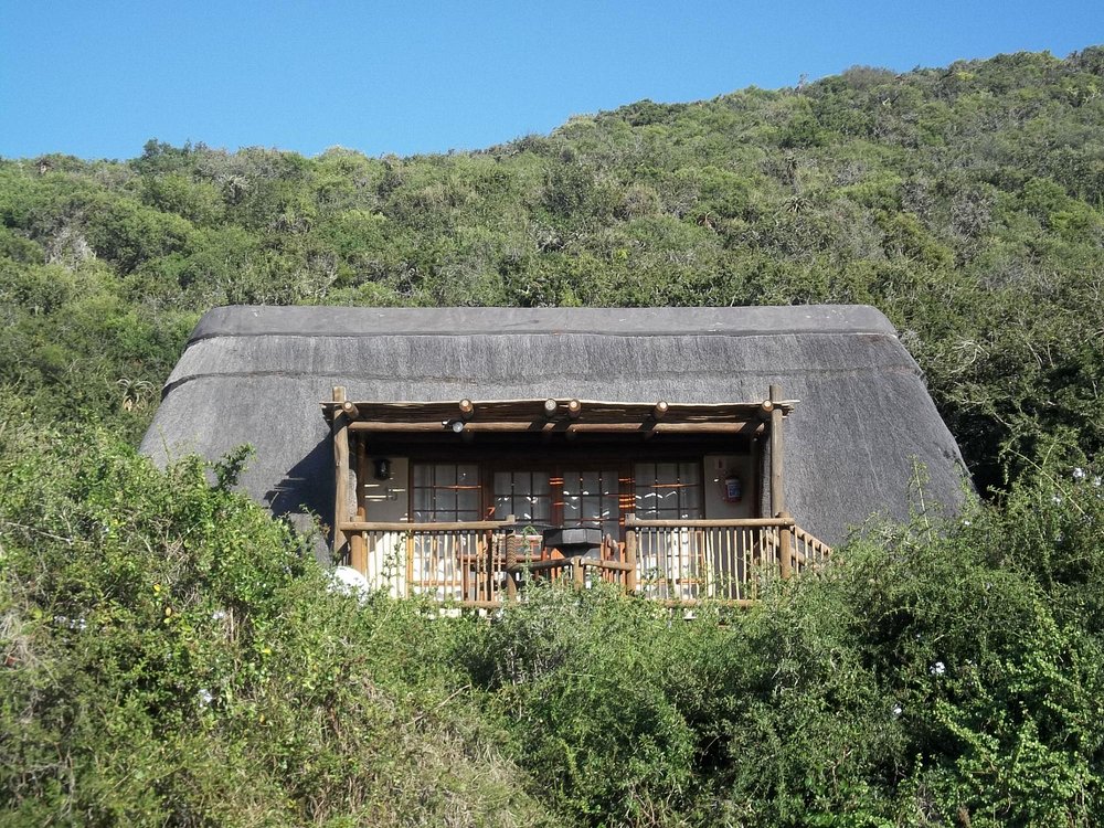 Addo Elephant Matyholweni Rest Camp
