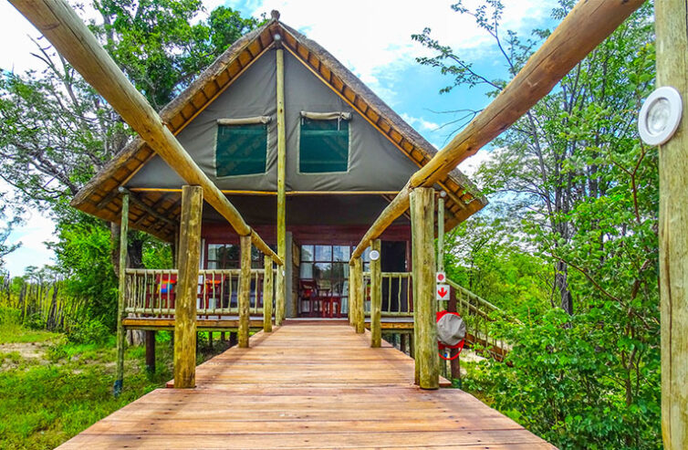 Chobe Mopani Forest Lodge thumbnail 3