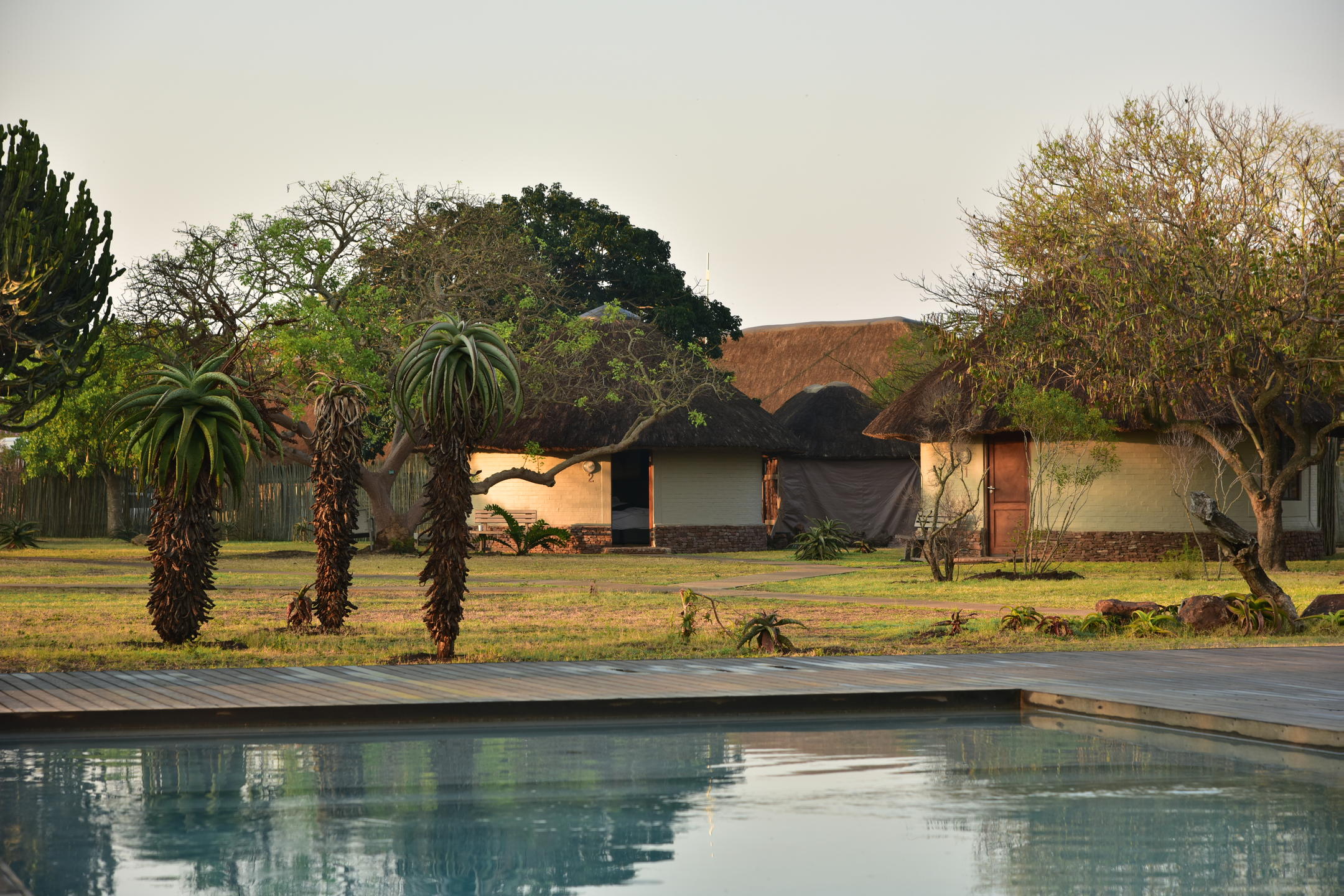 Bayala Private Safari Lodges