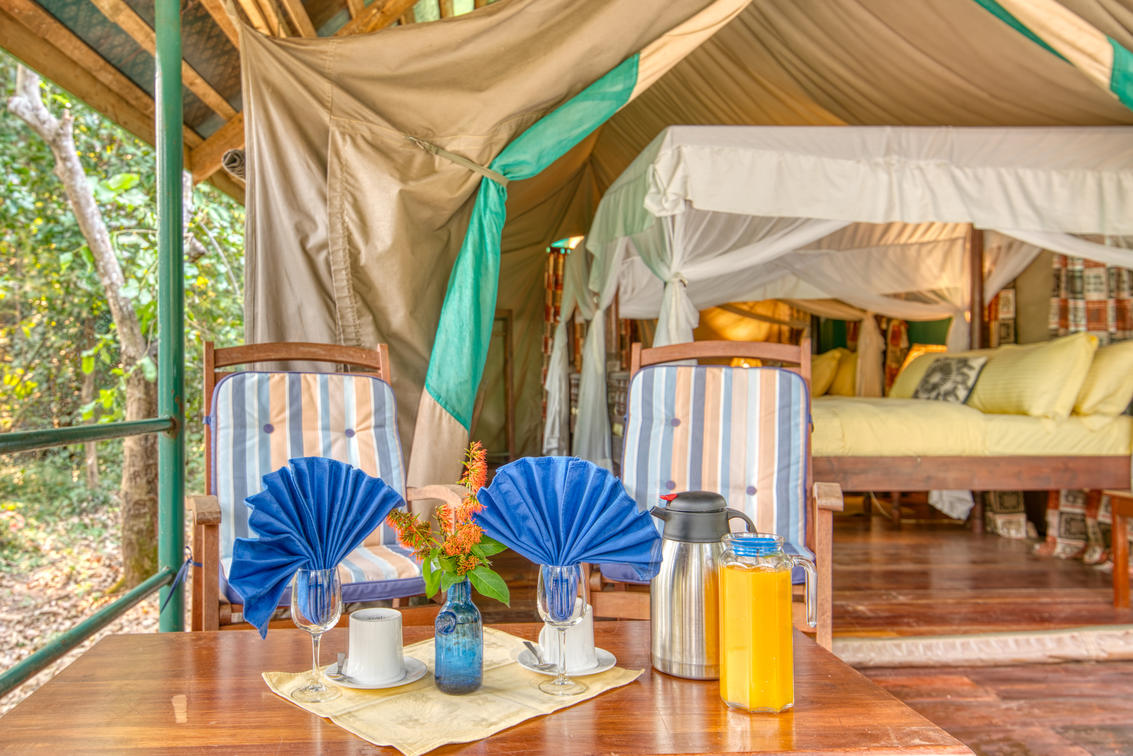 Mbali Mbali Gombe Lodge thumbnail 5