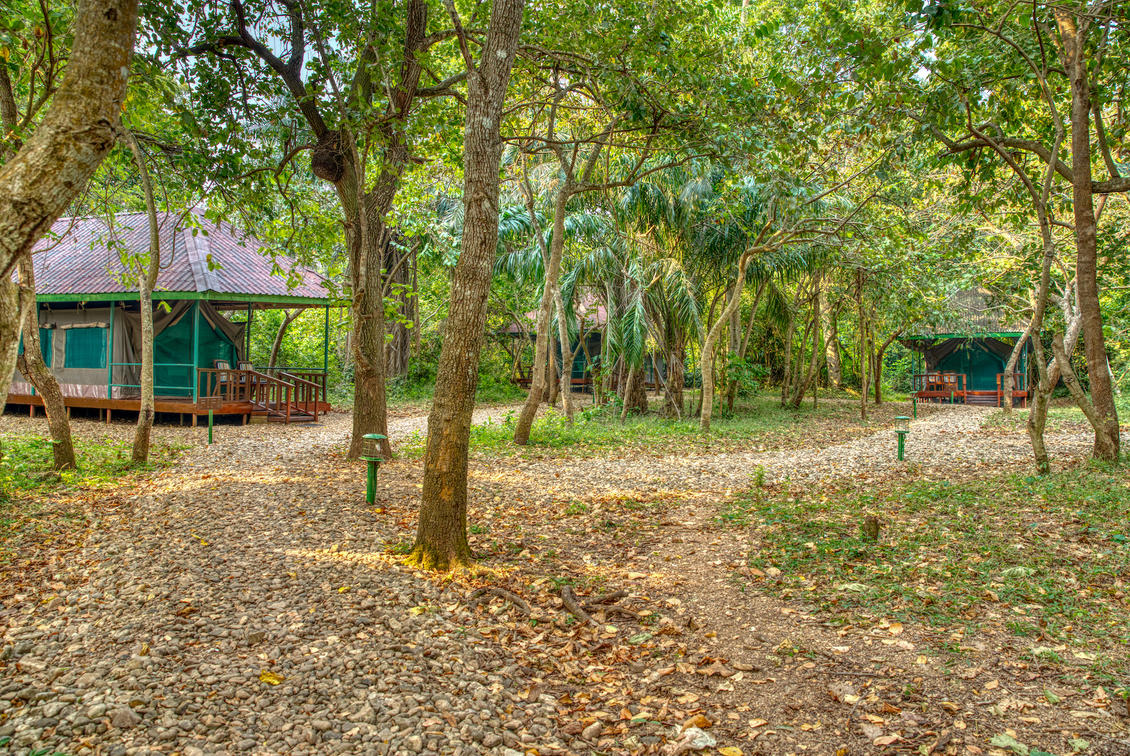 Mbali Mbali Gombe Lodge thumbnail 2