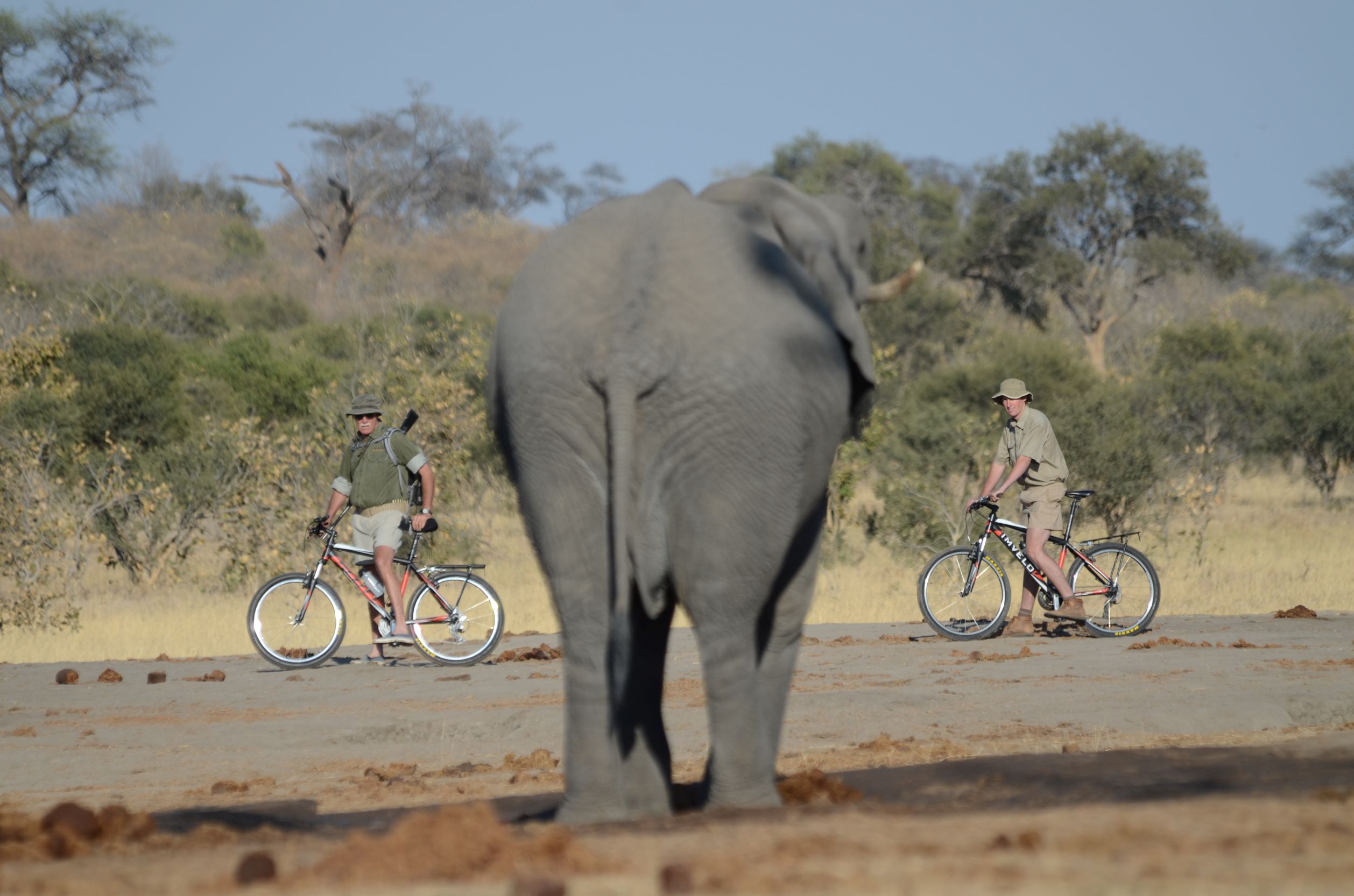 Jozibanini Camp thumbnail 2