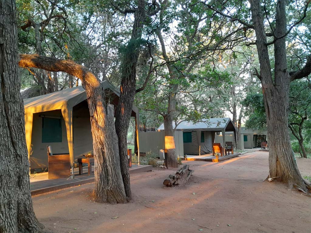 nDzuti Bush Camp