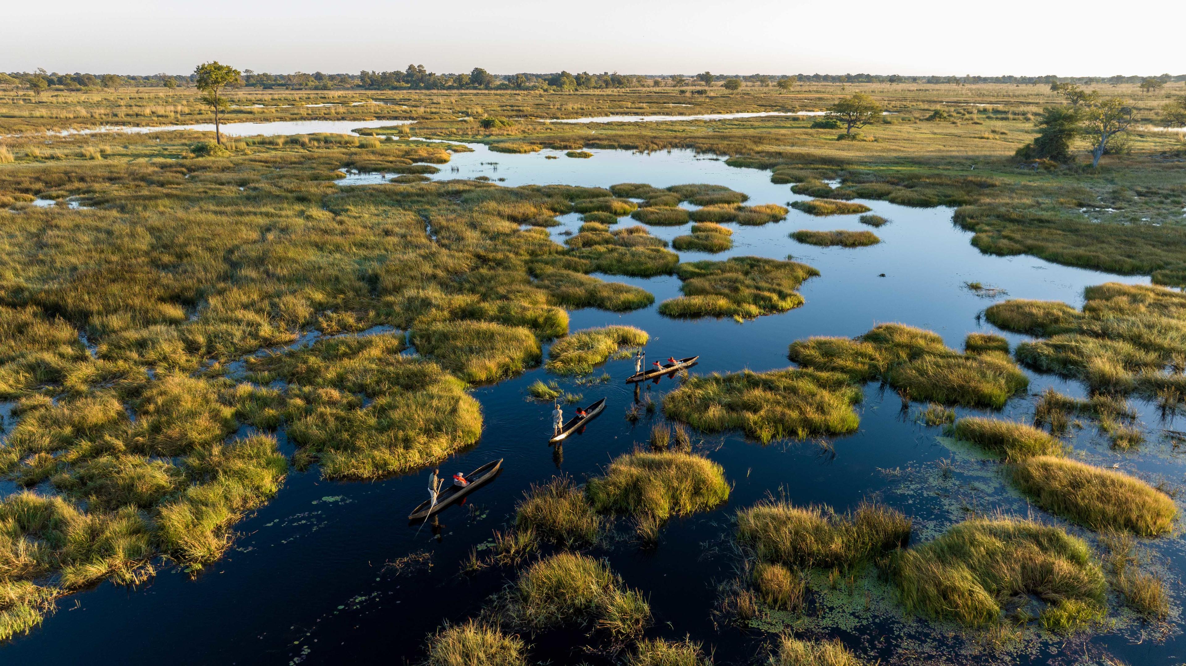 North Island Okavango thumbnail 7