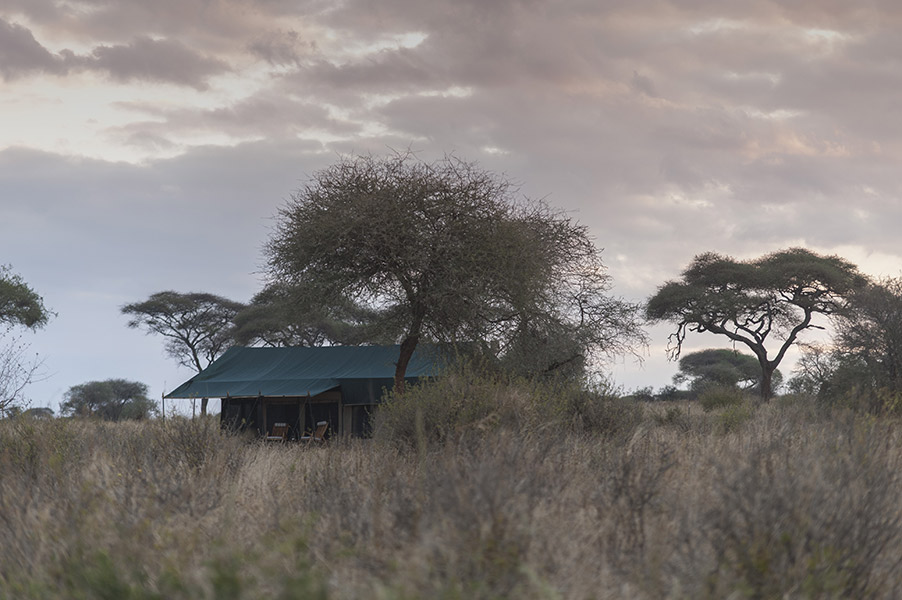 Nyikani Migration Camp - Ndutu thumbnail 1