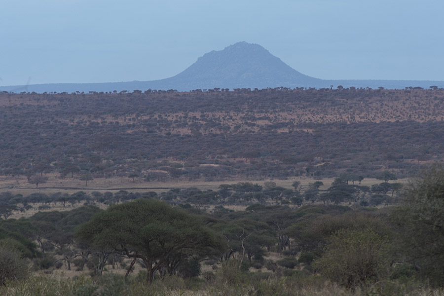 Nyikani Migration Camp - Ndutu thumbnail 6