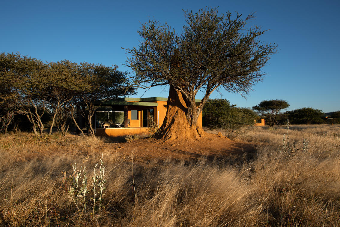 Okonjima Plains Camp thumbnail 6