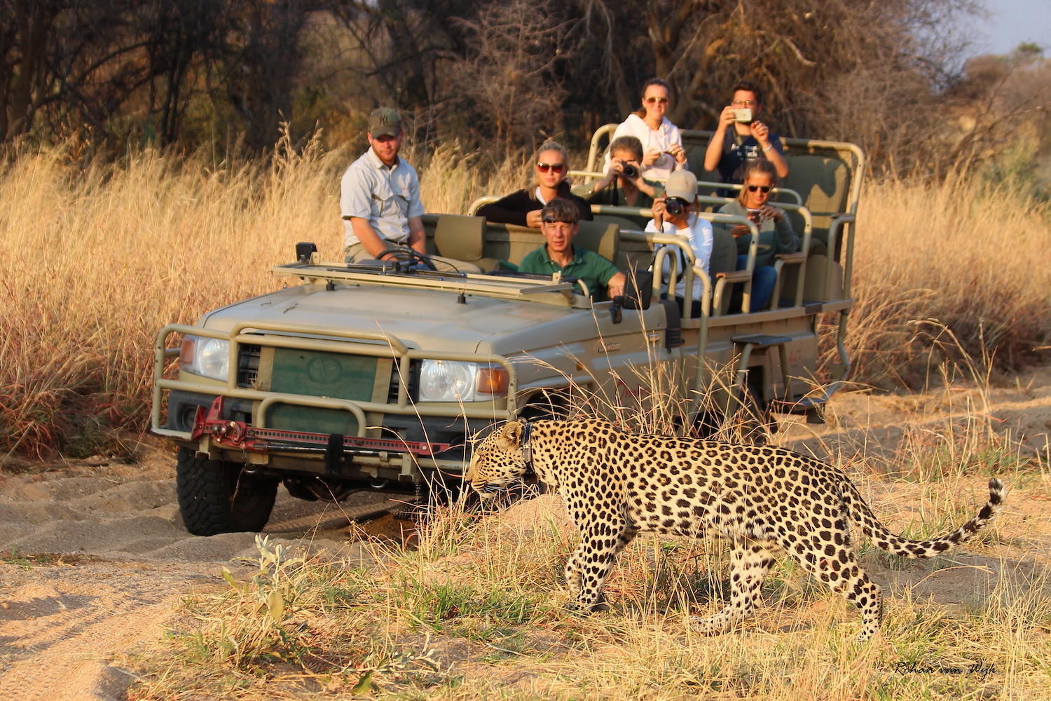 Okonjima Bush Camp thumbnail 4