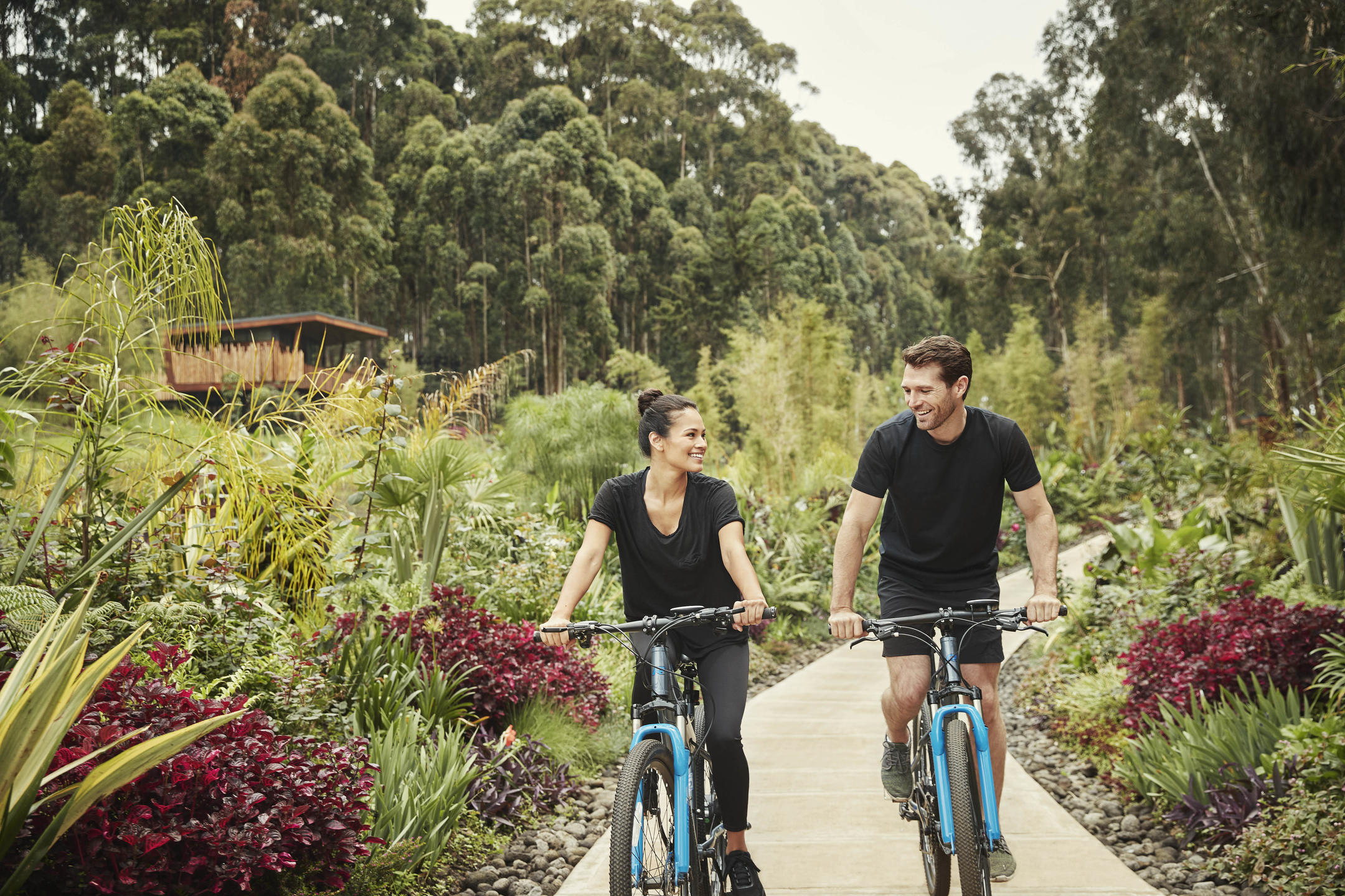 One&Only Gorilla's Nest thumbnail 6