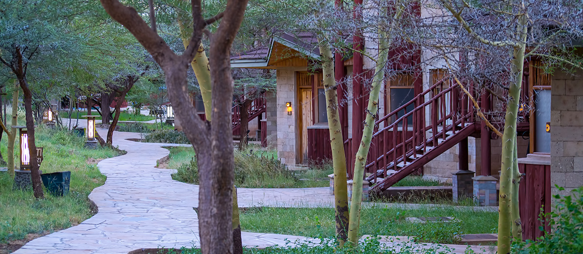 Samburu Simba Lodge thumbnail 4