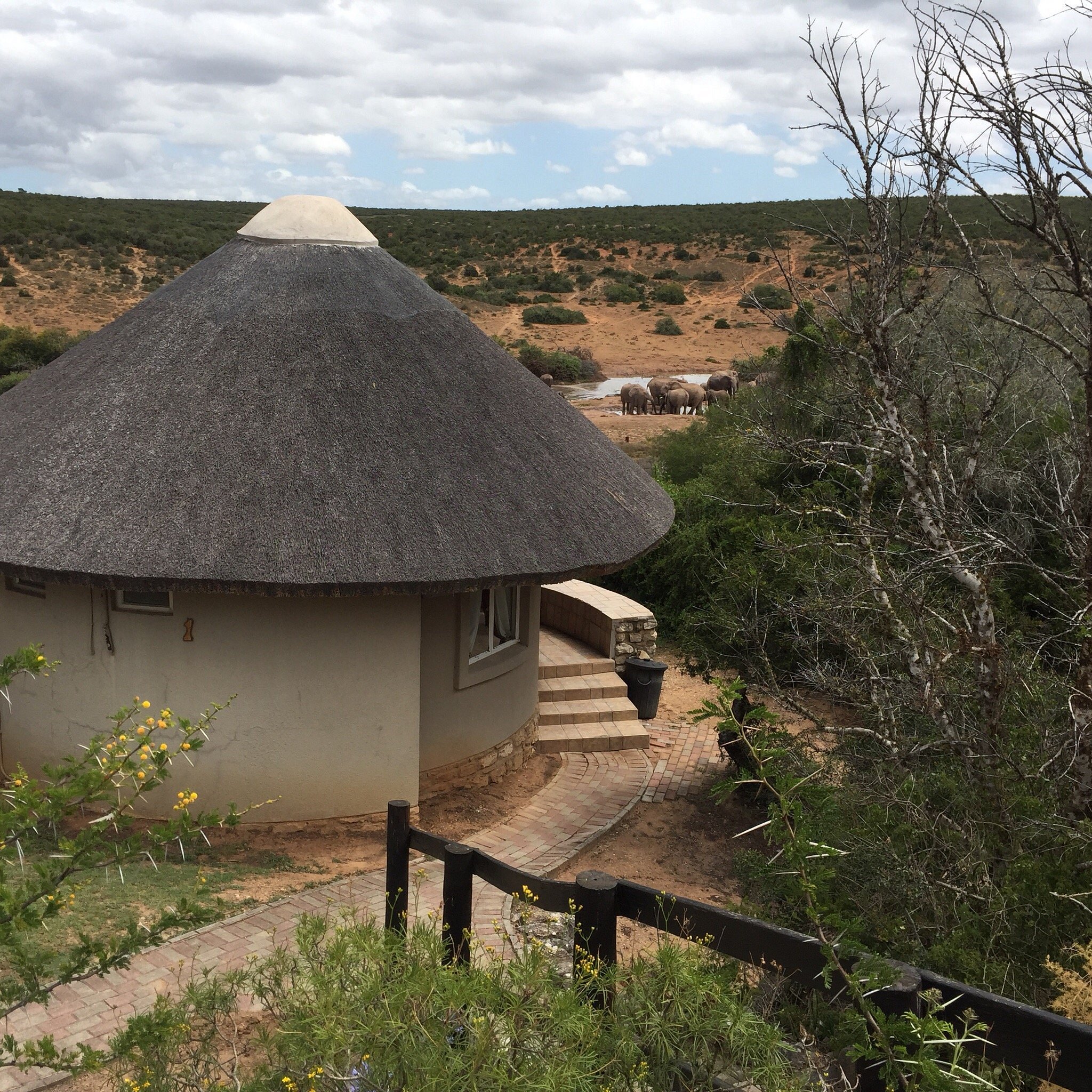 Addo Elephant Main Rest Camp thumbnail 6