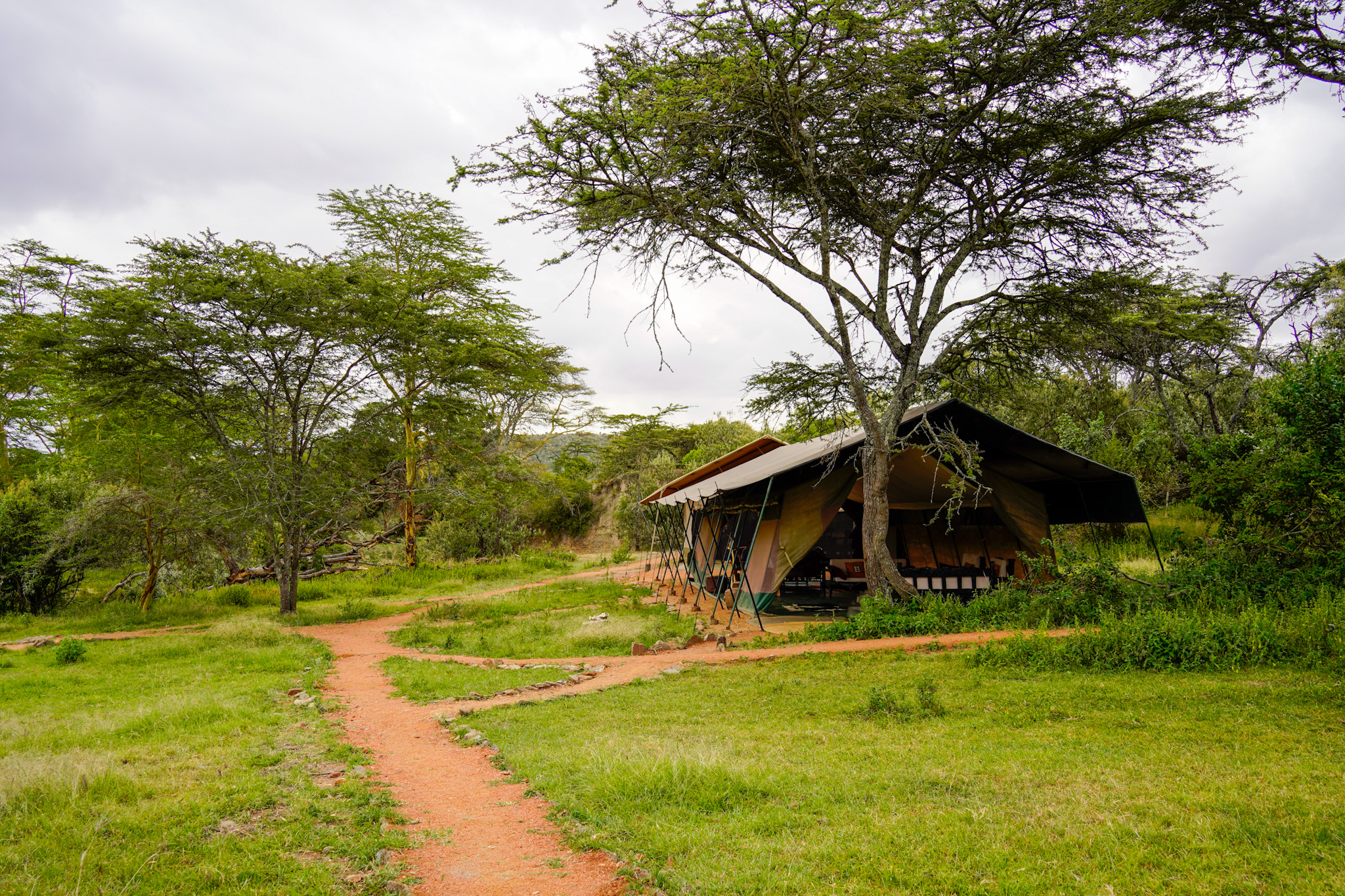 Porini Giraffe Camp