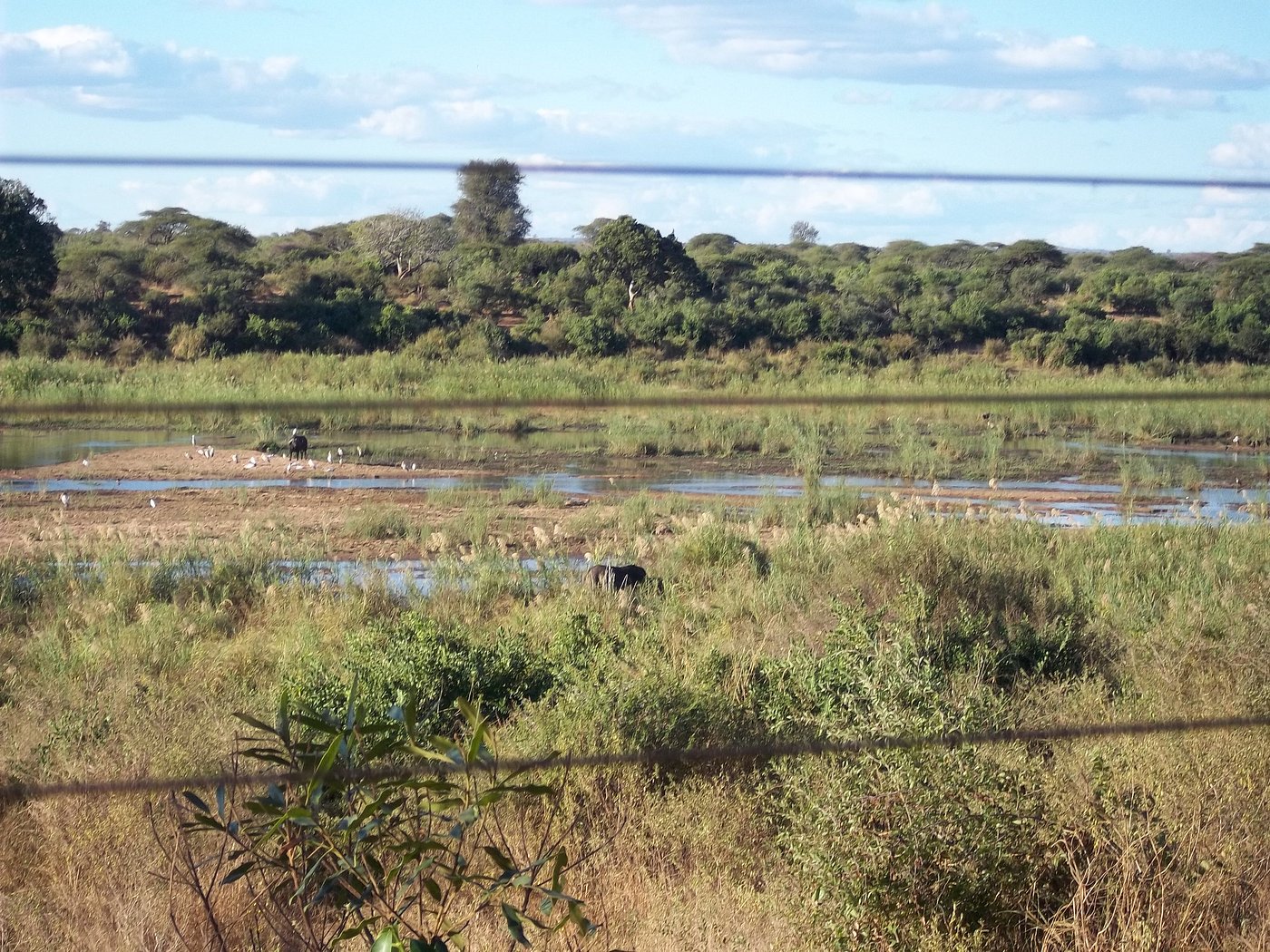 Lower Sabie Rest Camp thumbnail 4