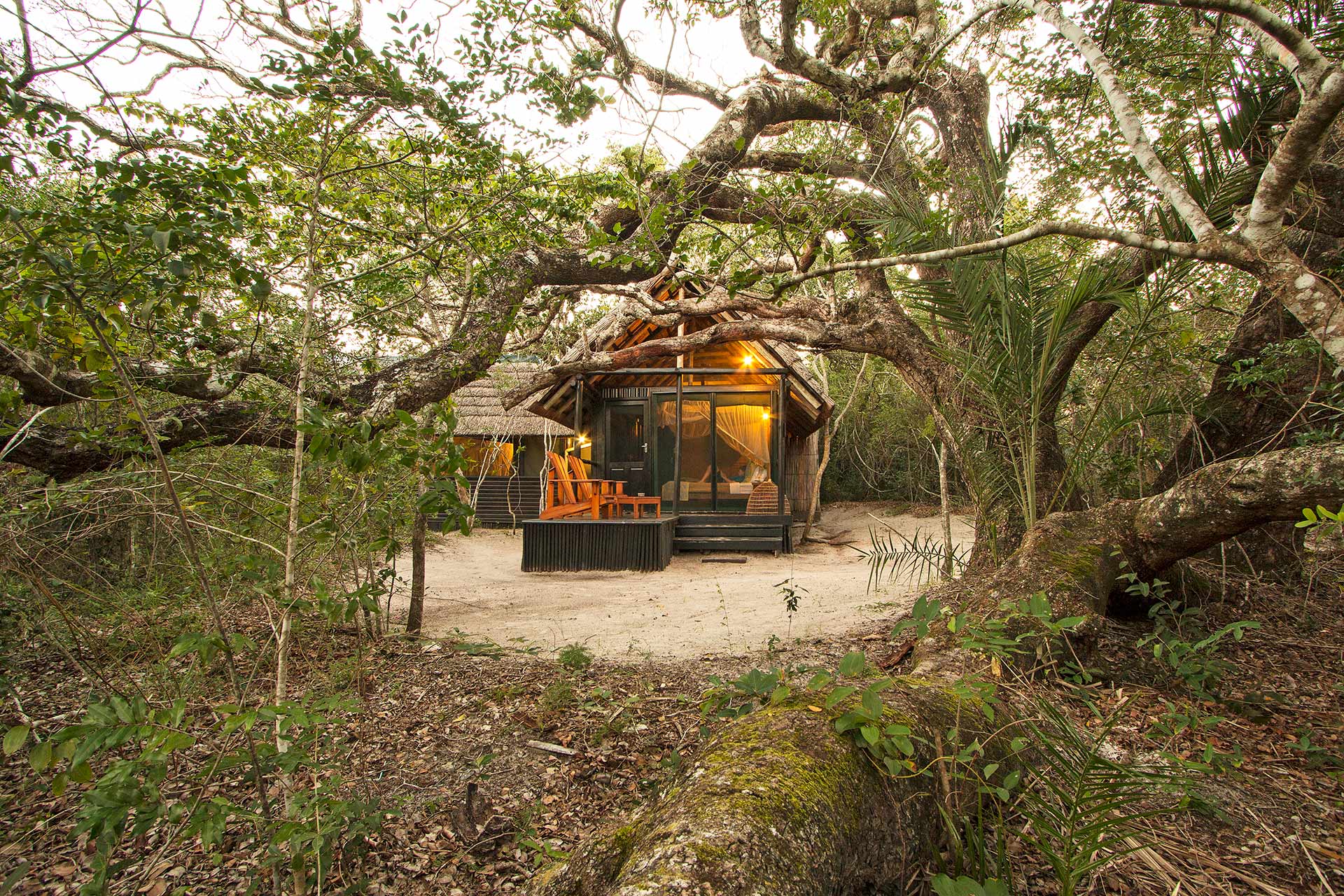 Kosi Forest Lodge