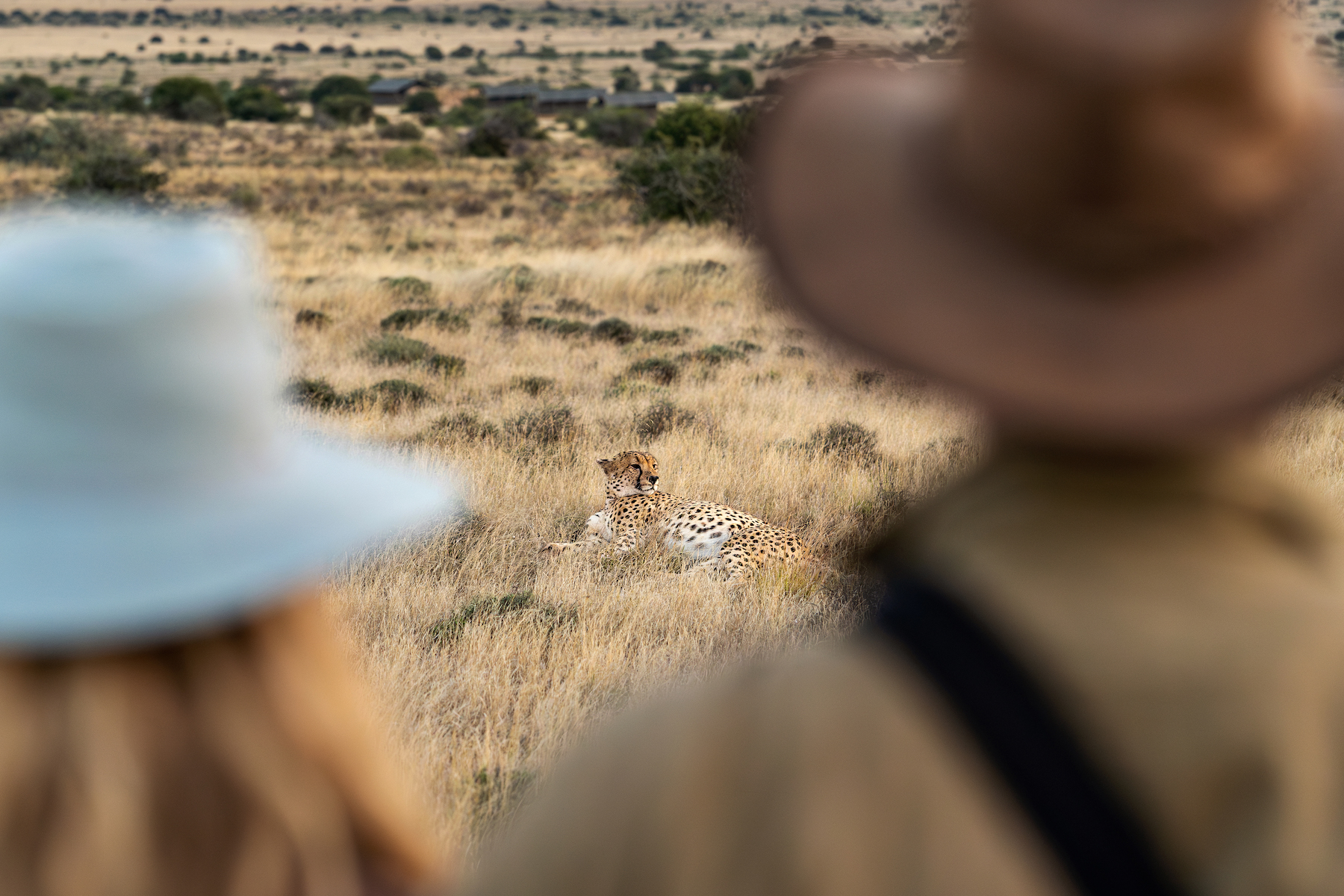 Plains Camp thumbnail 4