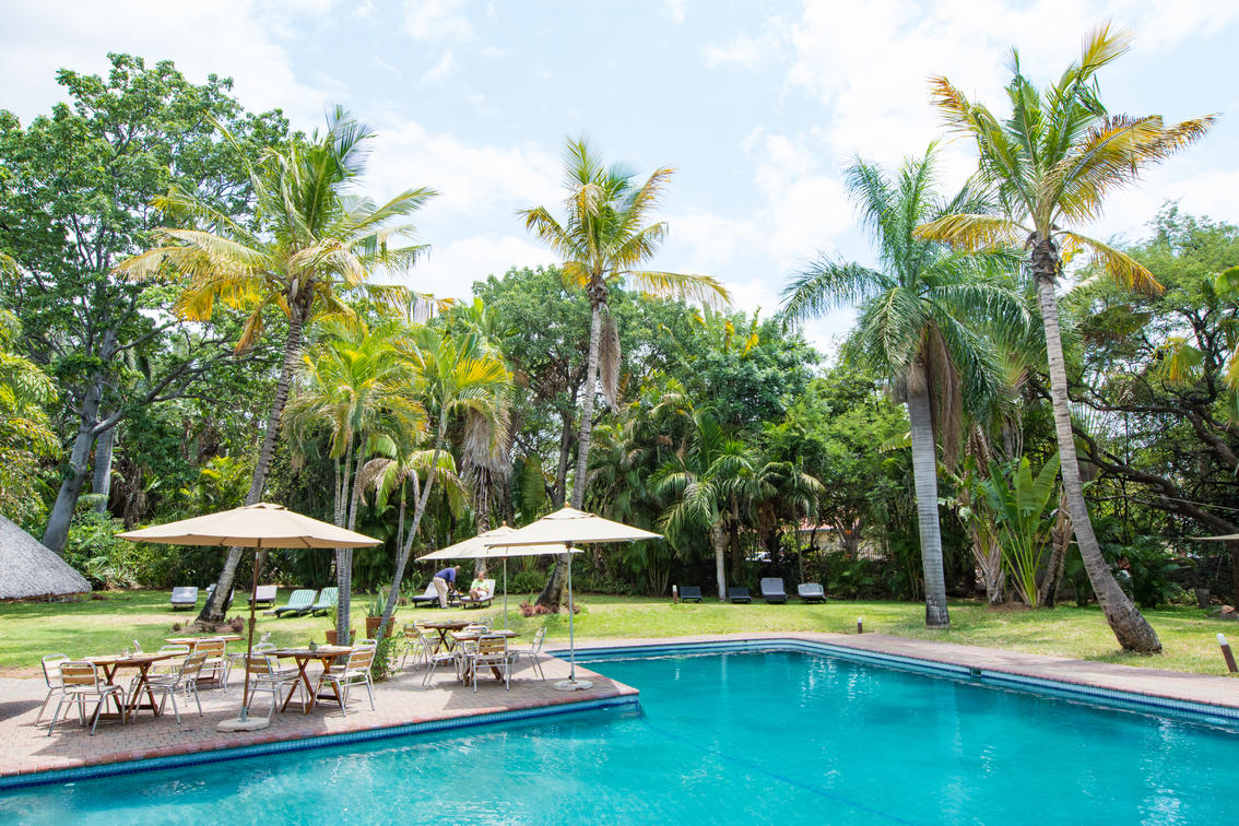 Sefapane Lodge & Safaris