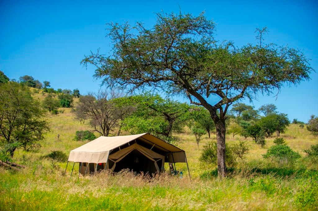 Ndutu Kati Kati Tented Camp thumbnail 5