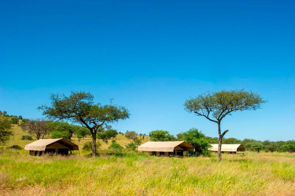 Mara Kati Kati Tented Camp