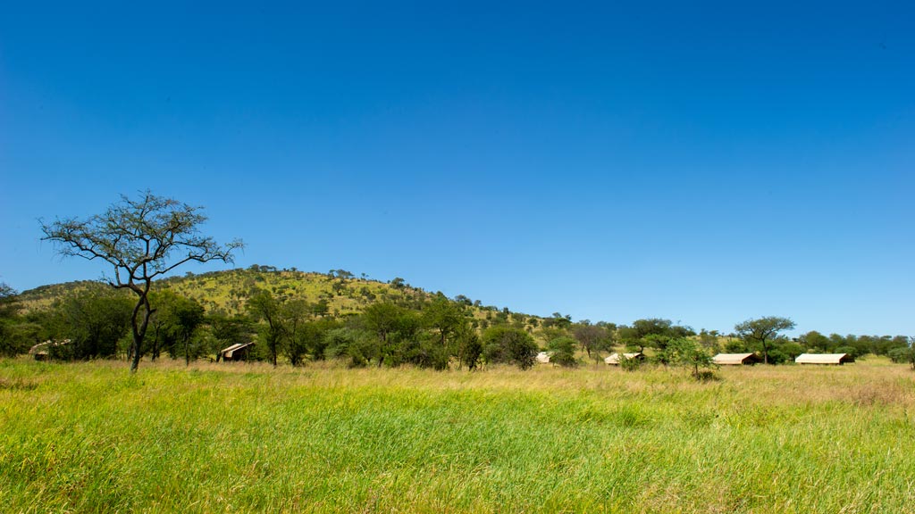 Ndutu Kati Kati Tented Camp