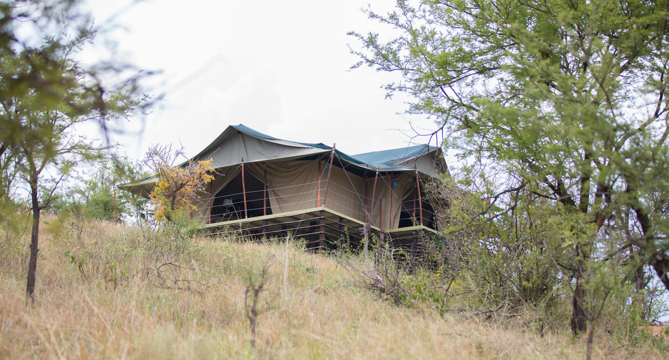 Ole Serai Luxury Camp - Seronera