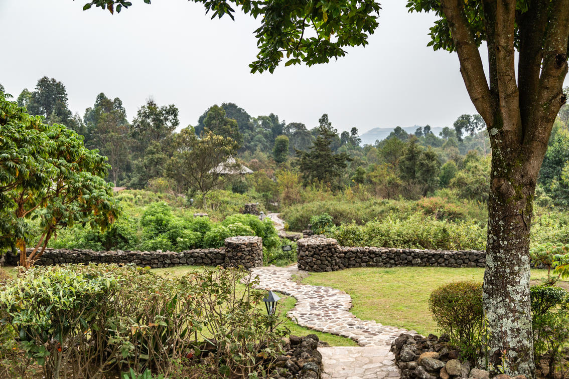 Mount Gahinga Lodge thumbnail 5