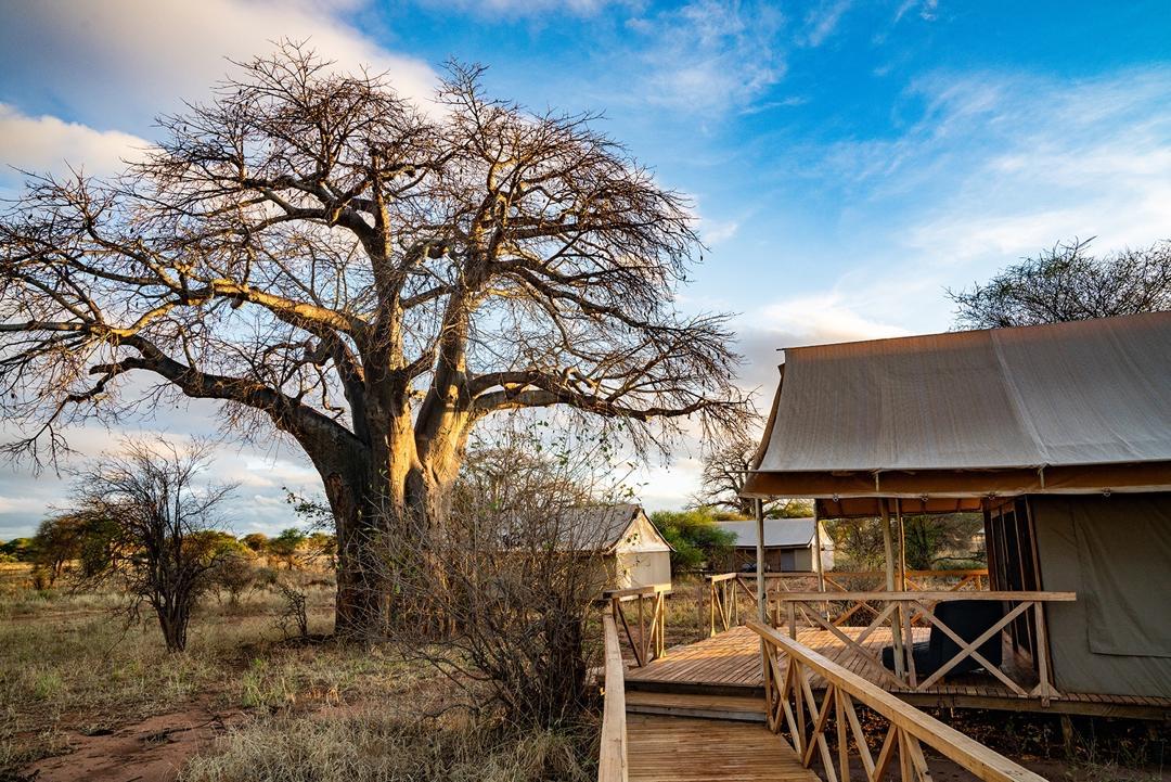 Tarangire Ndovu Tented Lodge thumbnail 7