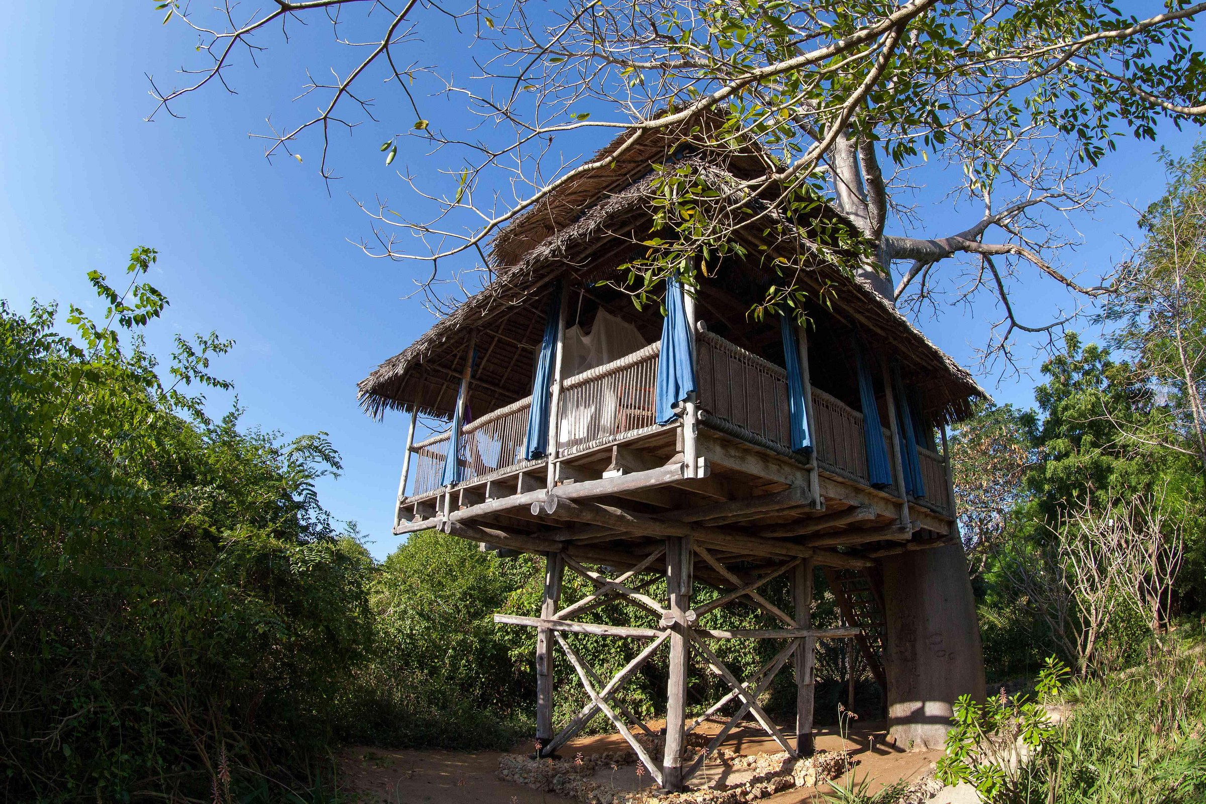 Chole Mjini thumbnail 5