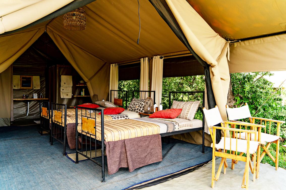 Intimate Camp Zebra thumbnail 6