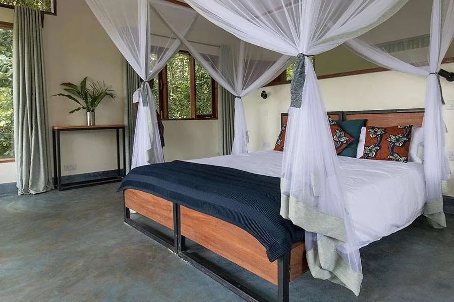 Turaco Treetop Lodge thumbnail 2