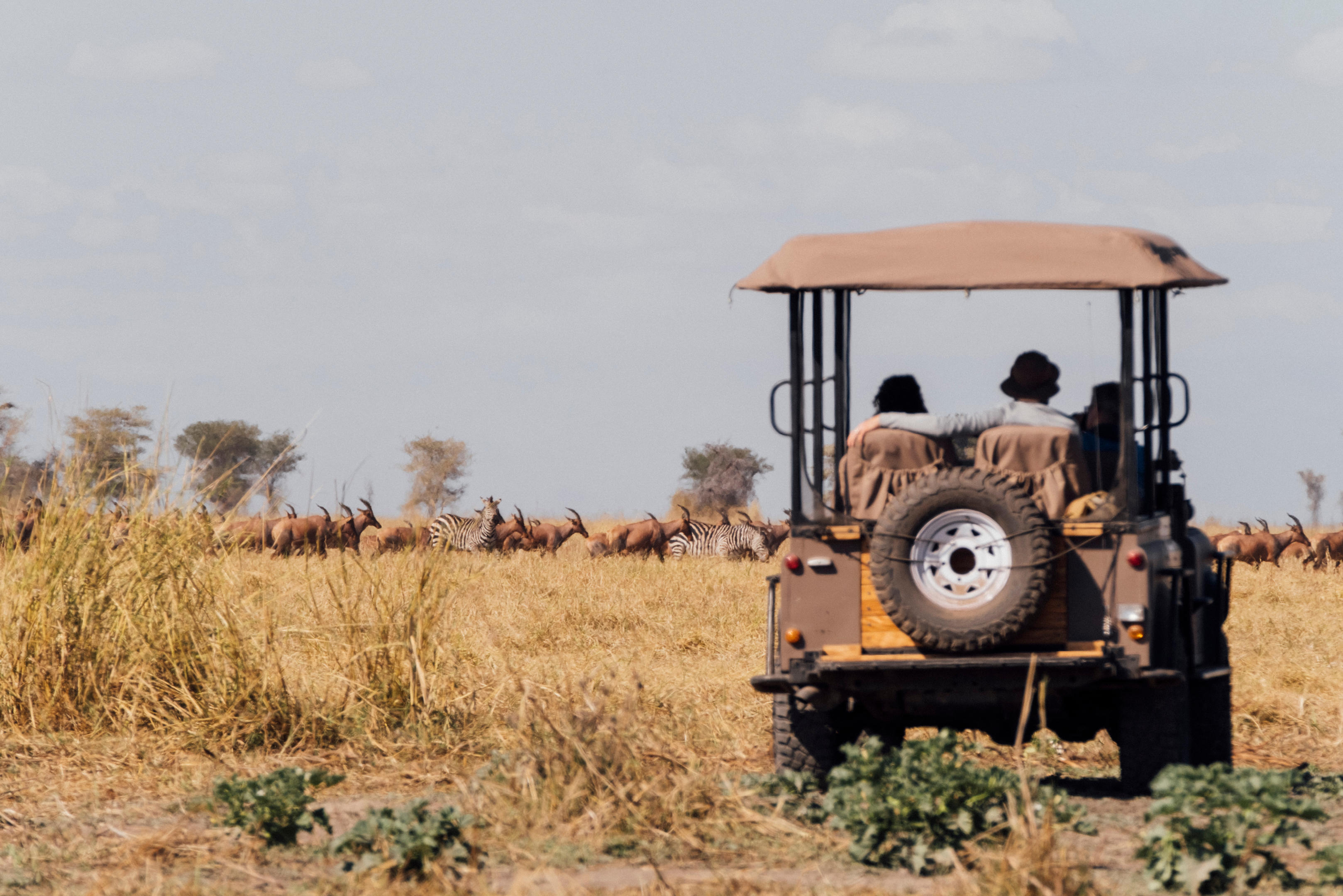 Usangu Expedition Camp thumbnail 13