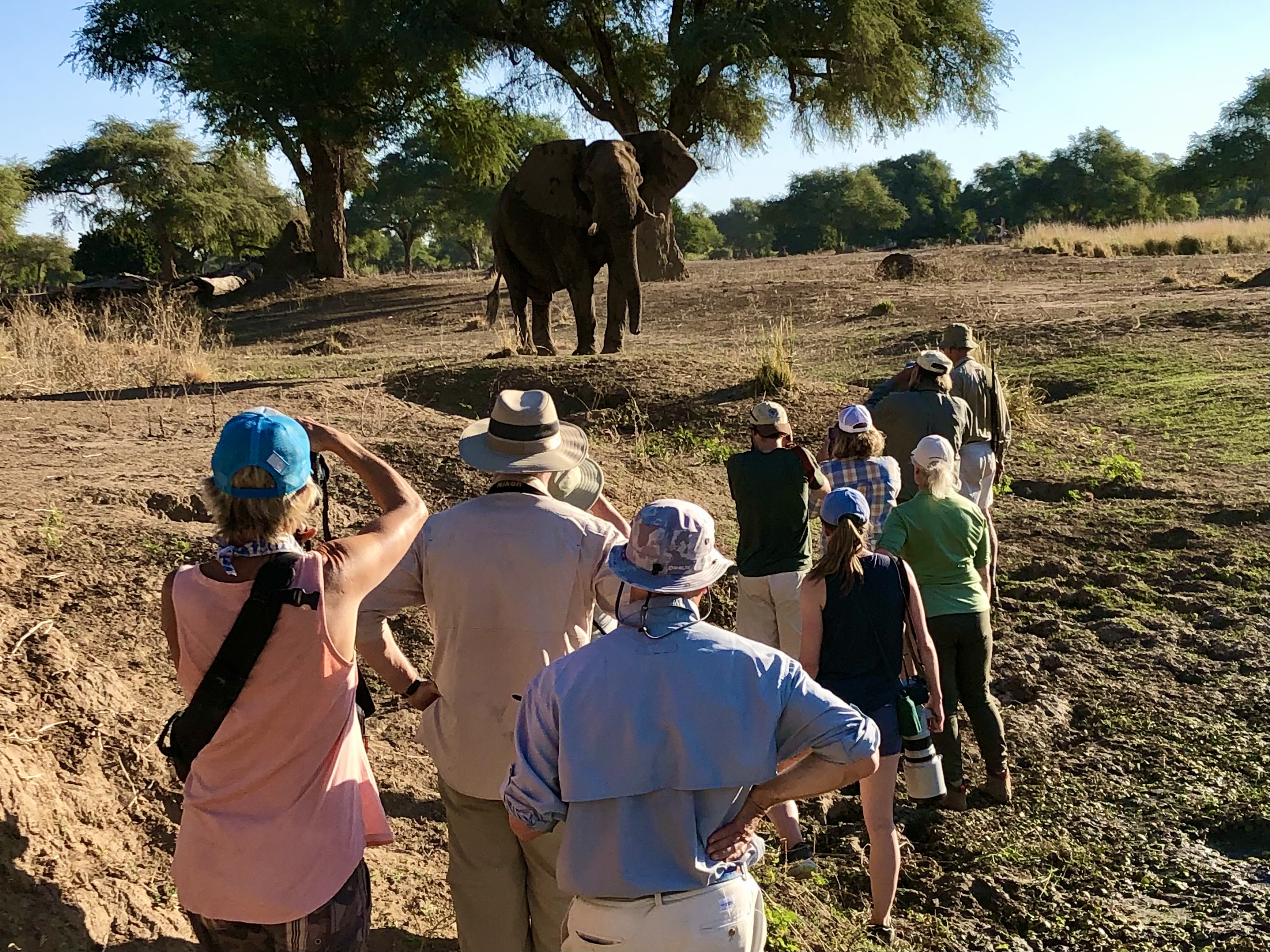 Stretch Ferreira Safaris - Goliath Camp thumbnail 3