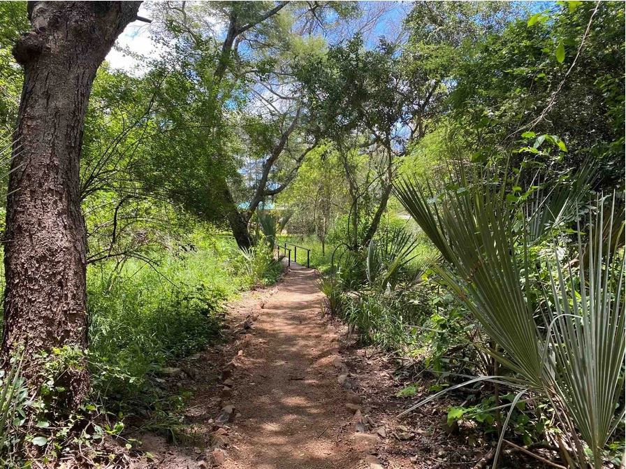 The Woodlands at Waterberry Zambezi Lodge thumbnail 6