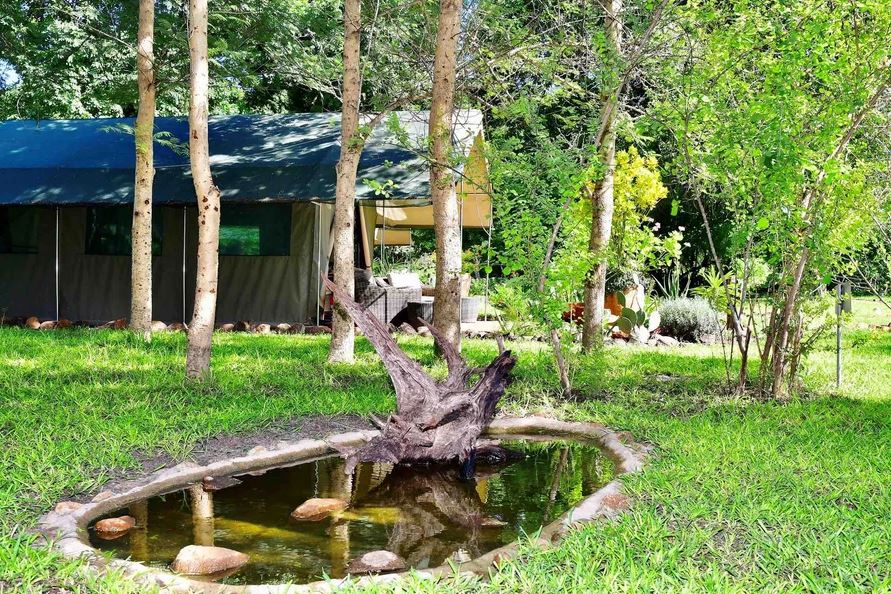 The Woodlands at Waterberry Zambezi Lodge thumbnail 4