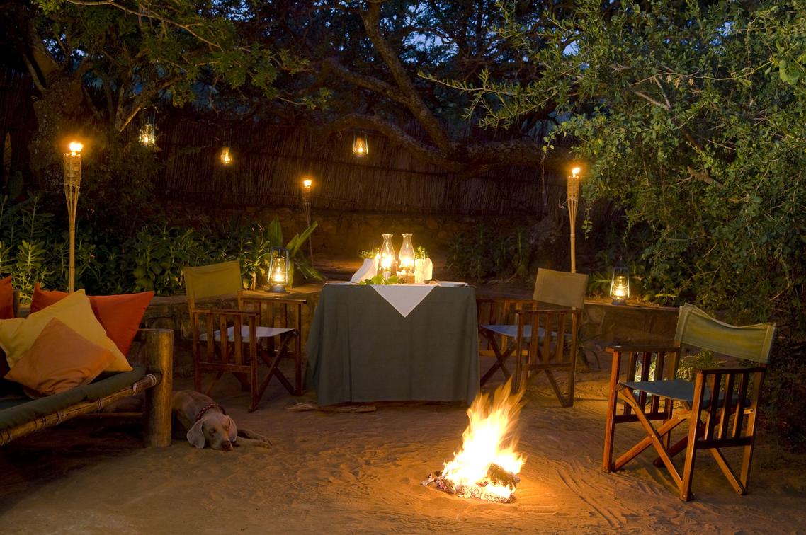 Ant's Nest thumbnail 5