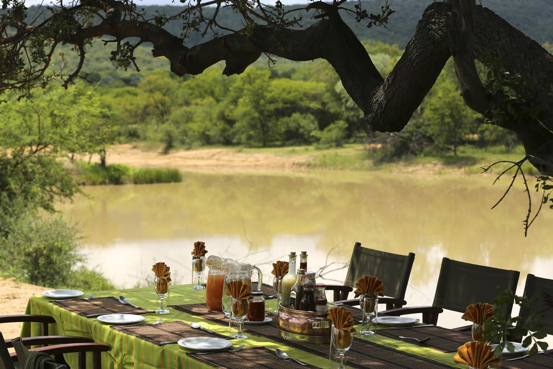 Ant's Nest thumbnail 4