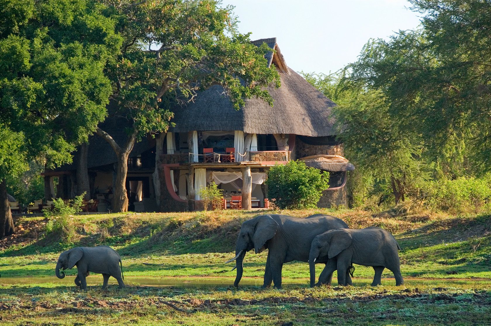 Luangwa Safari House thumbnail 4