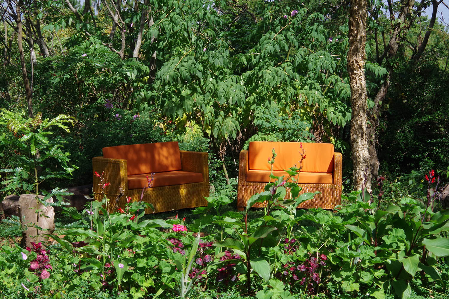 Zomba Forest Lodge thumbnail 1