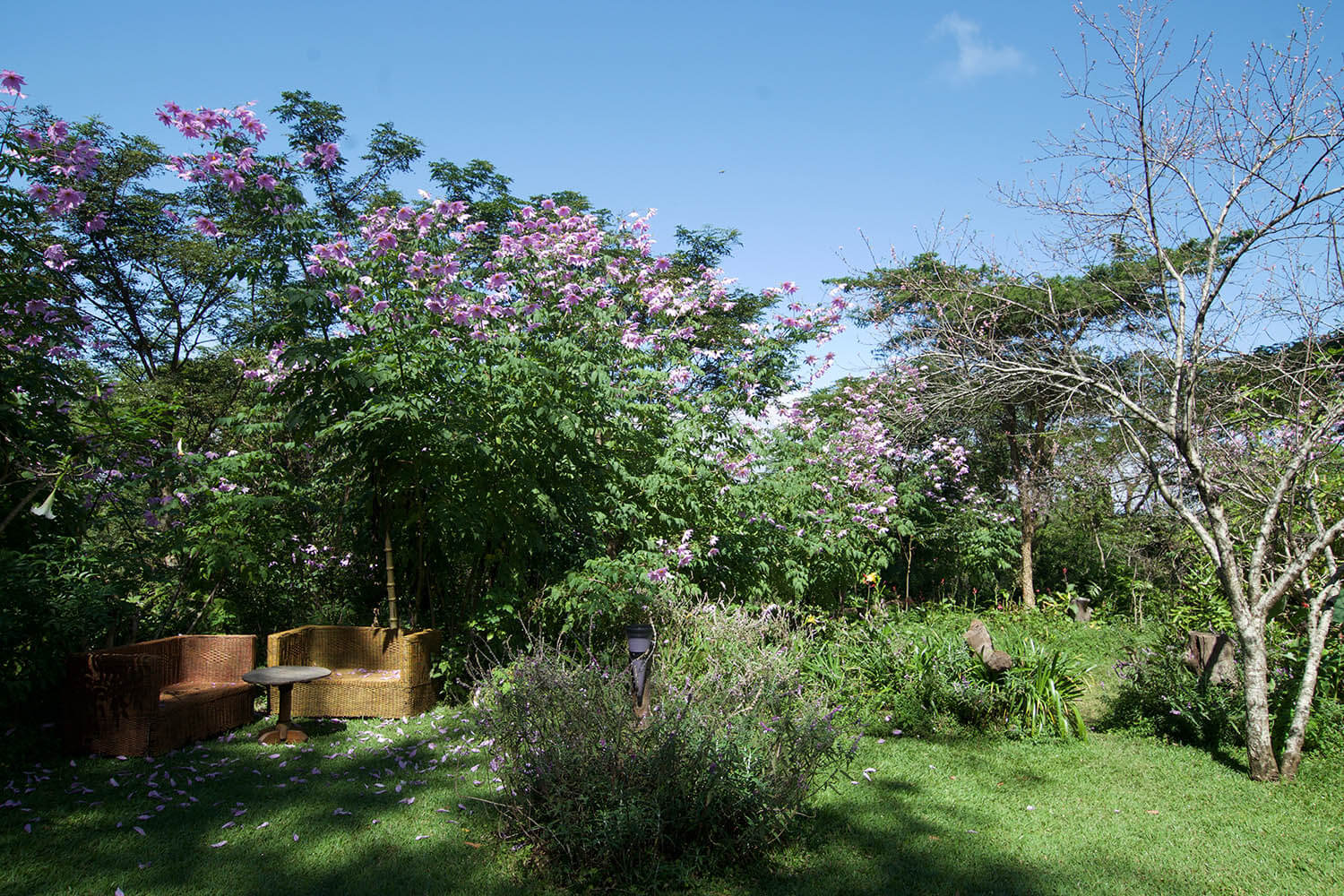 Zomba Forest Lodge thumbnail 3