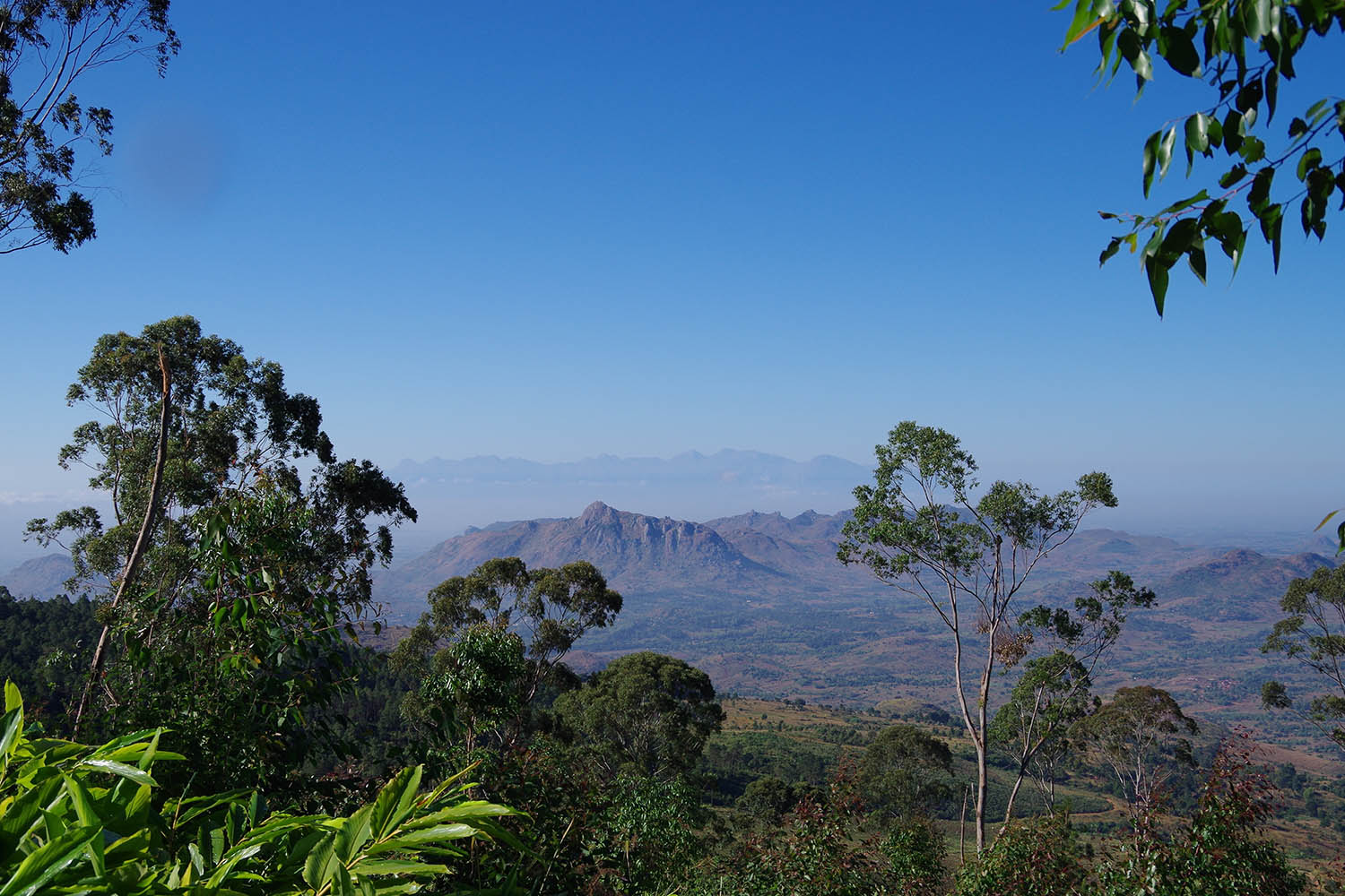 Zomba Forest Lodge thumbnail 4