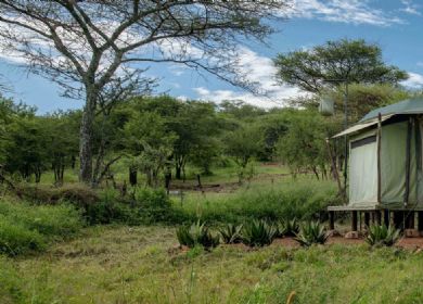 LEGENDARY SERENGETI MOBILE CAMP (Serengeti National Park, Tanzania) -  foto's en reviews - Tripadvisor