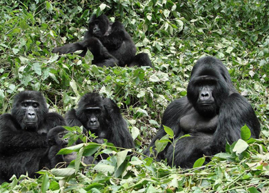 Uganda accommodation
