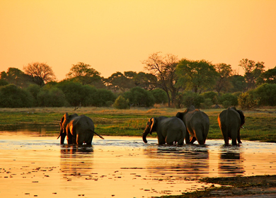 Botswana accommodation