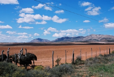 Garden Route highlight