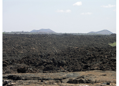 Tsavo National Park safari
