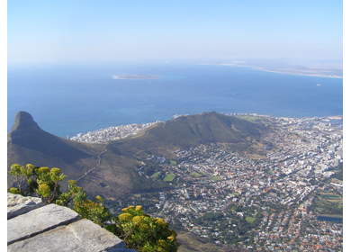 Cape Town safari